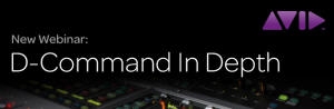 Avid Webinar Nov 30 - D Command in Depth